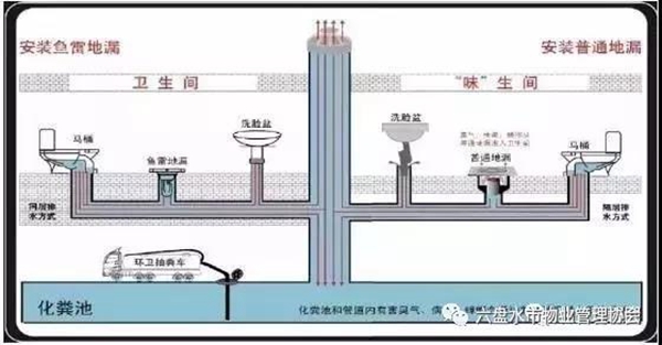 微信图片_20191206084719.jpg